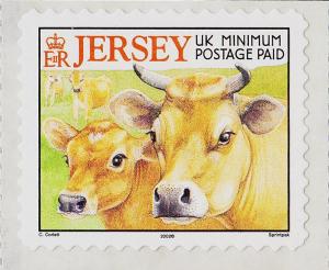 Colnect-4144-069-Jersey-Cow-Bos-primigenius-taurus.jpg