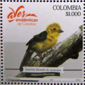 Colnect-4863-032-Yellow-headed-brush-finch.jpg