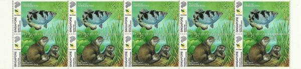 Colnect-2655-266-Banded-Archerfish-Toxates-jaculator-Smooth-coated-Otter-.jpg