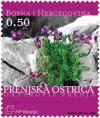 Colnect-536-005-Oxytropis-Prenja.jpg