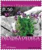 Colnect-536-005-Oxytropis-Prenja.jpg