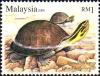 Colnect-3598-010-Amboina-Box-Turtle-Cuora-amboinensis.jpg