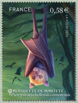 Colnect-1549-632-Seychelles-Flying-Fox-Pteropus-seychellensis-comorensis.jpg