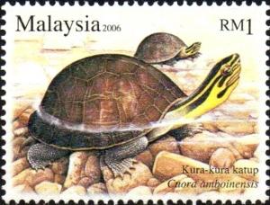 Colnect-3598-010-Amboina-Box-Turtle-Cuora-amboinensis.jpg