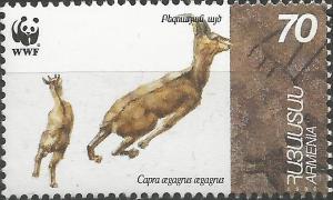 Colnect-4537-862-Bezoar-Ibex-Capra-aegagrus-aegagrus.jpg