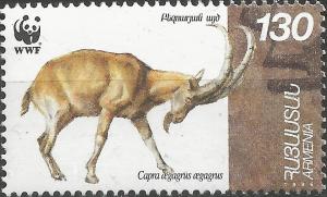 Colnect-4537-864-Bezoar-Ibex-Capra-aegagrus-aegagrus.jpg