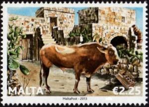 Colnect-5249-057-Maltese-Ox-Bos-primigenius-taurus.jpg