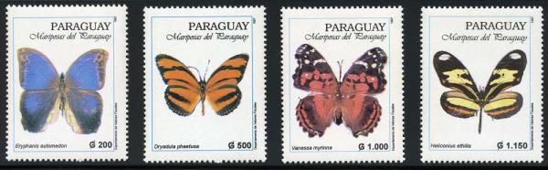 Skap-paraguay_17_bfly..jpg