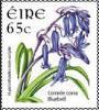 Colnect-617-275-Bluebell-Hyacinthoides-non-scripta.jpg