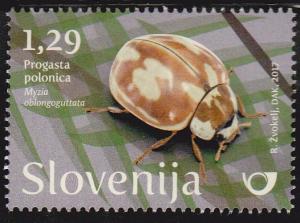 Colnect-4357-458-Striped-ladybird-Myzia-oblongoguttata.jpg