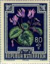 Colnect-136-232-Alpine-Purple-cyclamen-Cyclamen-purpurascens.jpg