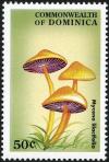 Colnect-3028-972-Mycena-lilacifolia.jpg