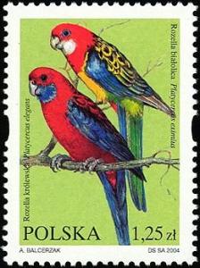 Colnect-3931-304-Crimson-Rosella-Platycercus-elegans-Eastern-Rosella-Plat.jpg