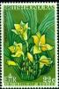 Colnect-1709-680-Lycaste-cochleata.jpg