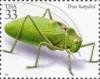 Colnect-201-332-Common-True-Katydid-Pterophylla-camellifolia-.jpg