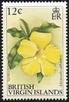 Colnect-2620-886-Yellow-allamanda.jpg