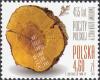 Colnect-4808-158-455-years-of-Polish-Post.jpg