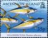 Colnect-6495-117-Yellowfin-tunas.jpg