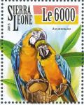 Colnect-3574-527-Blue-and-yellow-Macaw-Ara-ararauna.jpg