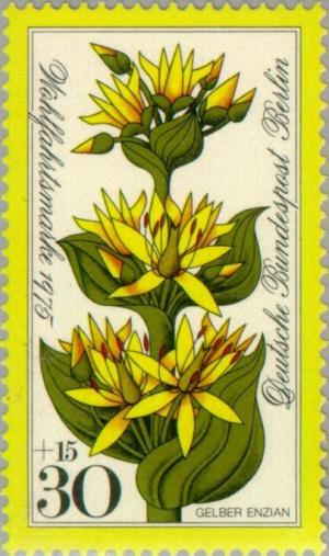 Colnect-155-300-Yellow-gentian.jpg