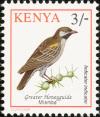 Colnect-753-974-Greater-Honeyguide-Indicator-indicator.jpg