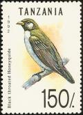 Colnect-888-859-Greater-Honeyguide-Indicator-indicator.jpg