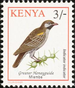 Colnect-753-974-Greater-Honeyguide-Indicator-indicator.jpg