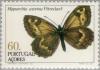 Colnect-186-132-Azores-Grayling-Hipparchia-azorina.jpg