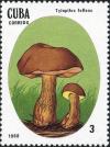 Colnect-2875-897-Tylopilus-felleus.jpg