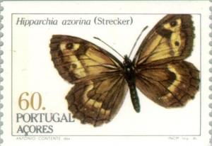 Colnect-186-137-Azores-Grayling-Hipparchia-azorina.jpg