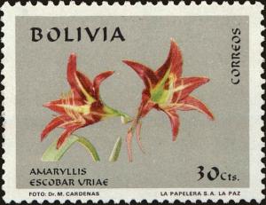 Colnect-5491-635-Amaryllis-escobar-uriae.jpg