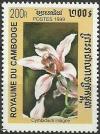 Colnect-1855-711-Cymbidium-insigne.jpg