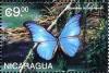 Colnect-3478-545-Nymohalidae-morpho.jpg