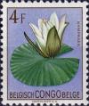 Colnect-4307-156-Nymphaea-maculata.jpg