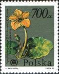 Colnect-1999-875-Nymphoides-peltata.jpg