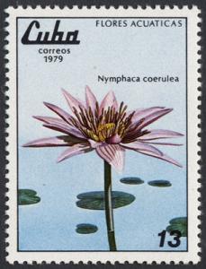 Colnect-852-888-Nymphaea-caerulea.jpg