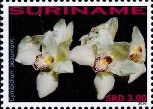 Colnect-4044-949-Cymbidium-Beaumont.jpg