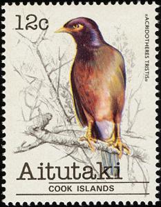 Colnect-2493-006-Common-Myna-Acridotheres-tristis.jpg