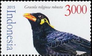 Colnect-3752-977-Common-Hill-Myna-Gracula-religiosa-robusta.jpg