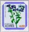 Colnect-185-872-Flower---Myosotis-azorica-HCWatson.jpg