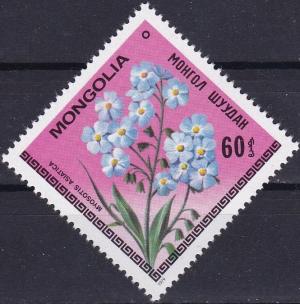 Colnect-3807-540-Myosotis-asiatica.jpg