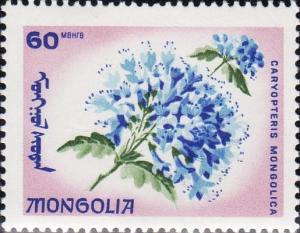 Colnect-881-508-Caryopteris-mongolica.jpg