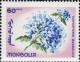 Colnect-881-508-Caryopteris-mongolica.jpg