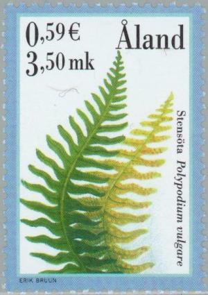 Colnect-160-910-Common-polypody-Polypodium-vulgare.jpg