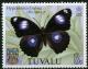 Colnect-1393-929-Common-Eggfly-Hypolimnas-bolina-ssp-elliciana.jpg