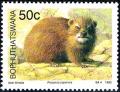 Colnect-2418-917-Rock-hyrax-Procavia-capensis.jpg