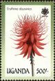 Colnect-4282-034-Erythrina-abyssinica.jpg