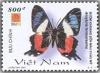 Colnect-1661-199-Butterfly-Ancyluris-formosissima.jpg