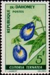 Colnect-3596-767-Butterfly-pea-Clitoria-ternatea.jpg