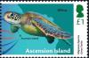 Colnect-5409-081-Migratory-Species--Green-Turtle.jpg